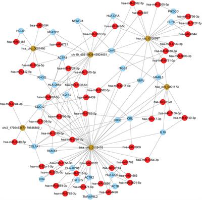 Differently Expressed Circular RNAs in Lacrimal Sacs From Patients With Chronic Dacryocystitis